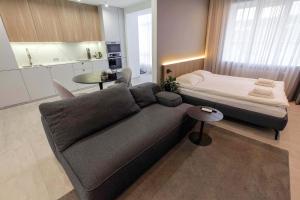 a living room with a couch and a bed at Cactus Apartments 2 in Ivano-Frankivsk