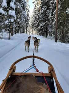 Mökki in Kalkkinen v zimě