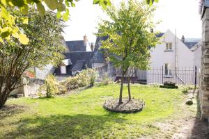 a tree in the yard of a house at Chez Miriam - Maison de caractère - Ville avec jardin in Montrichard