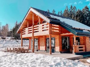 a log cabin with a picnic table in the snow at Pur Natur! Wandern und Skifahren - Trahütti Premium Lodges in Trahütten