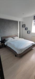 a bedroom with a large bed in a room at Se reposer à p'tit Ebé in Macheren
