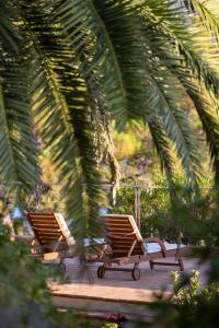 duas cadeiras sentadas num deque debaixo de uma palmeira em A'mare Corsica I Seaside Small Resort em Propriano