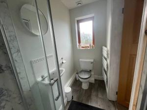 a bathroom with a toilet and a glass shower at Eden’s Annexe in Cliburn
