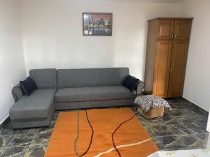 a living room with a gray couch and a wooden cabinet at Apartments Mušović in Bar