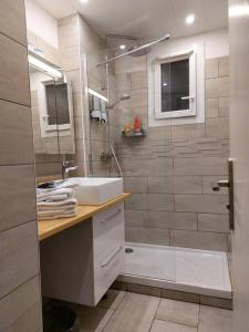 uma casa de banho com um chuveiro, um lavatório e um chuveiro em Appartement T3 avec balcon, centre 15’ à pied em Aix-en-Provence