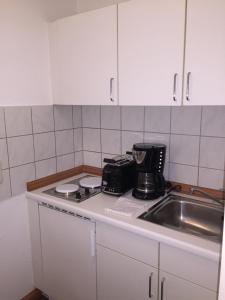 a kitchen with a sink and a counter top at Elbsandstein Apartments Altstadt in Erfurt