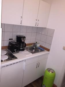 a small kitchen with a sink and a stove at Elbsandstein Apartments Altstadt in Erfurt