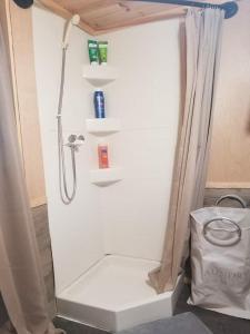 a shower in a bathroom with a bag next to it at Adirondack Country Living Tiny House Village in Canton
