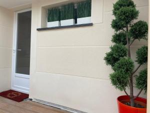 a plant in a pot next to a door at Paris-Zénith-bienvenue-terrasse-Netflix in Pantin