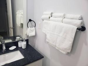 a bathroom with a sink and towels on a wall at Luxurious 1BR - 1BA Apt Modern Bright with free parking in Brampton