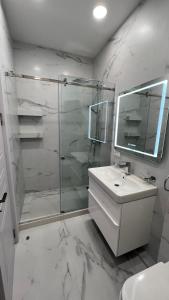 La salle de bains est pourvue d'une douche, d'un lavabo et d'un miroir. dans l'établissement King Davit White, à Tbilissi