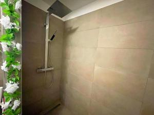 a bathroom with a shower with a shower head at *Le Royal*Havre De Paix*Wifi* in Marseille