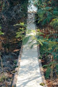 a walking path in the middle of a forest at Salida Beach in Kizimkazi