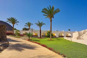 a resort with palm trees and a walkway at Retac Qunay Dahab Resort & SPA in Dahab