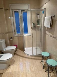 a bathroom with a shower and a toilet and a sink at Habitación matrimonial cómoda Av Santa Ana 25 3d in Tudela