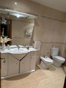 a bathroom with a sink and a toilet and a mirror at Habitación matrimonial cómoda Av Santa Ana 25 3d in Tudela