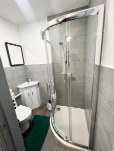 a bathroom with a shower and a toilet at Stonehouse Cottage Near QE & UOB in Birmingham