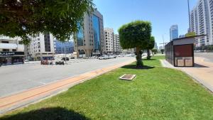 uma área relvada com uma árvore no meio de uma rua em Adbldna01 em Abu Dhabi