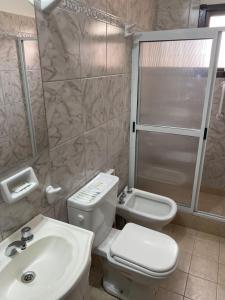 a bathroom with a toilet and a sink and a shower at Las Balda, tu casita en Viedma in Viedma
