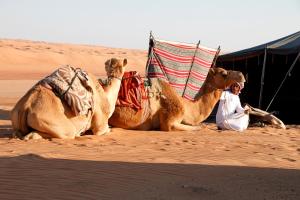 BadīyahPrivate Camel Safari Camp的相册照片