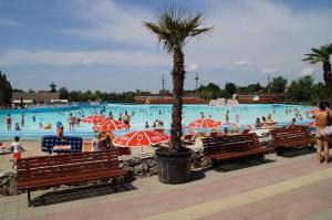 a group of people in a swimming pool at Tommy Apartman in Hajdúszoboszló