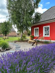 WartheにあるVictor`s Farmhaus - Refugium für 2,6 oder 8 Personenの紫の花の赤い家
