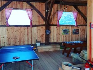 a ping pong table in a room with wooden walls at Chalet Giuel in Bărcuţ