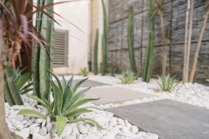 un jardin avec des cactus et des plantes dans un bâtiment dans l'établissement Villa Cinnamon, à Seminyak