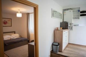Kuchyň nebo kuchyňský kout v ubytování Casa Bucegi Busteni