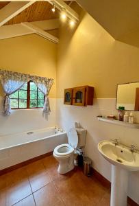 a bathroom with a tub and a toilet and a sink at Touchstone Cottage in Hilton