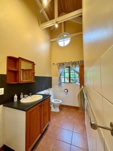 a bathroom with a sink and a toilet at Touchstone Cottage in Hilton