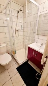 La salle de bains est pourvue d'une douche, de toilettes et d'un lavabo. dans l'établissement Le petit Cocon Bleu, à Flers