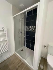 een badkamer met een douche en een glazen deur bij Appartement proche Stade/Eurexpo in Décines-Charpieu