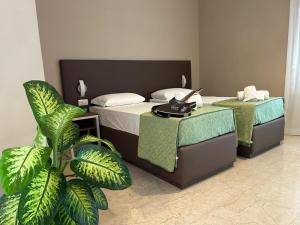 una camera d'albergo con due letti e una pianta di Villa Angeli a Roma