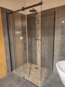 y baño con ducha y puerta de cristal. en Villa Mountainview, en Bludenz