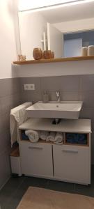 ein Badezimmer mit einem Waschbecken und einer Theke mit Handtüchern in der Unterkunft Wunderschöne Ferienwohnung direkt an der Elbe, Alt-und Neustadtnähe in Dresden