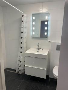 a bathroom with a sink and a mirror and a toilet at Zelfstandig appartement - 10 minuten tot Amsterdam in Ilpendam