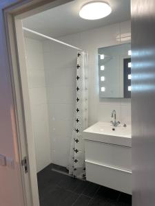 a bathroom with a sink and a mirror at Zelfstandig appartement - 10 minuten tot Amsterdam in Ilpendam