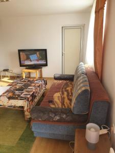 sala de estar con sofá y TV de pantalla plana en Vila Luminita, en Govora