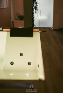 a counter top with a plant on top of it at Spa Niagara privé avec jacuzzi in Herstal