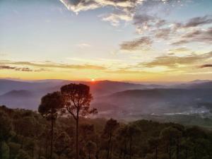 a sunset in the mountains with a tree in the foreground at Ganesh Homesaty in Almora