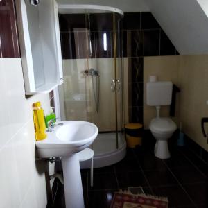 a bathroom with a sink and a shower and a toilet at Zori de zi in Bran