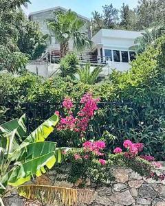 un jardin avec des fleurs roses en face d'une maison dans l'établissement Peacefull, Private, Pristine Studio Apartment, à Bodrum City