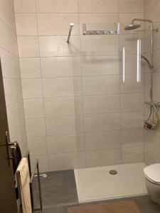 łazienka z prysznicem i toaletą w obiekcie Apartment Stubnerkogelblick w mieście Bad Hofgastein