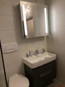 ein Badezimmer mit einem Waschbecken, einem Spiegel und einem WC in der Unterkunft Apartment Stubnerkogelblick in Bad Hofgastein