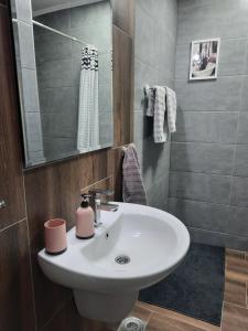 a bathroom with a white sink and a shower at Stan na dan DUNJA 2 in Vršac