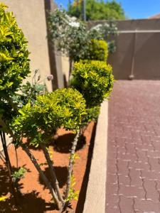 Billede fra billedgalleriet på Kimberley Boutique Guest Lodge i Kimberley