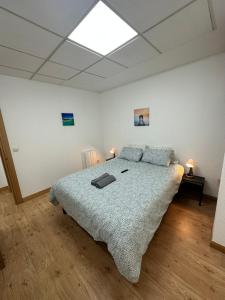 um quarto com uma cama e uma clarabóia em Apartamentos Laborde em Madri