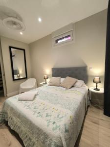 1 dormitorio con 1 cama grande y espejo en HABITACION CENTRAL EN BILBAO con WIFI 57 en Bilbao