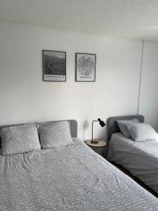een slaapkamer met een bed en twee foto's aan de muur bij superbe duplex avec parking gratuit in Grenoble